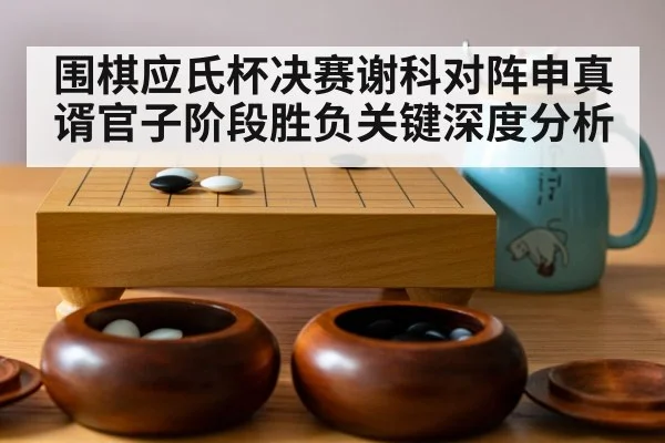围棋应氏杯决赛谢科对阵申真谞官子阶段胜负关键深度分析